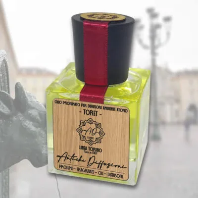 <span style="font-family: decohead-free; font-size: 180%;"><b>TORET</b> <br></span>Olio profumato per diffusori ambiente serie ATOMO
